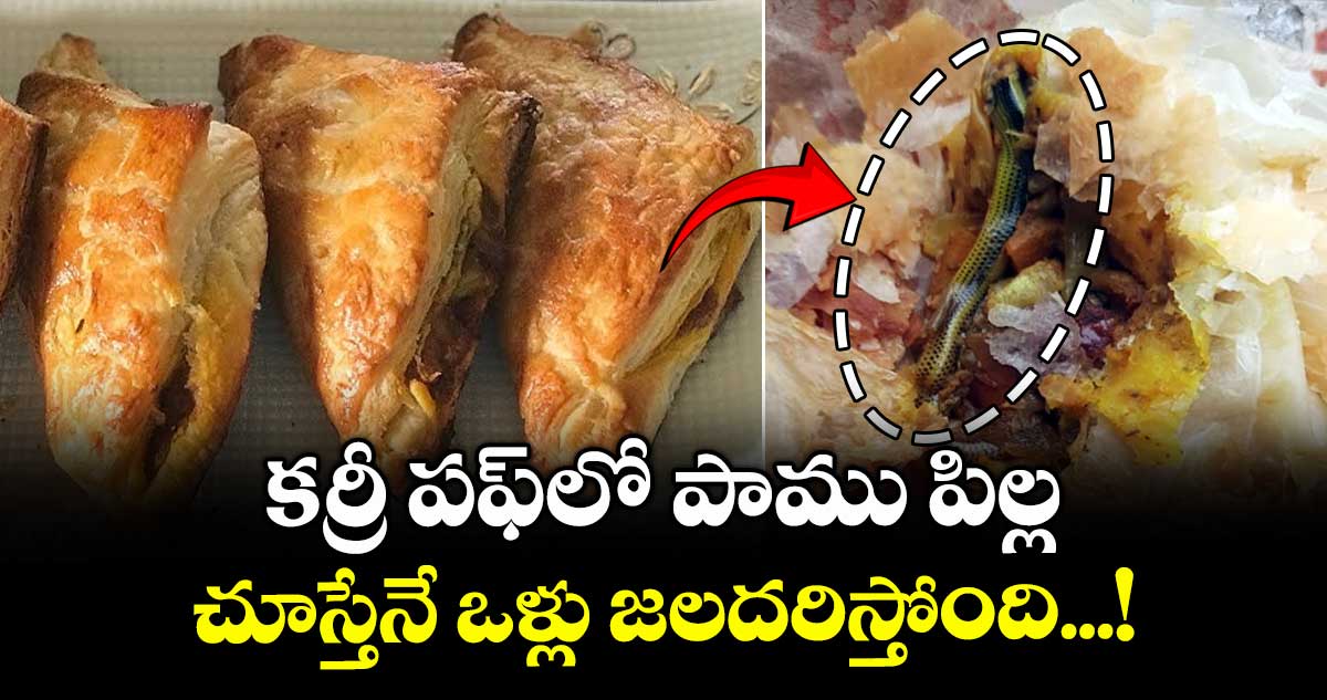 వామ్మో కర్రీ పఫ్ లో  పాము పిల్ల.. చూస్తేనే ఒళ్లు జలదరిస్తోంది..