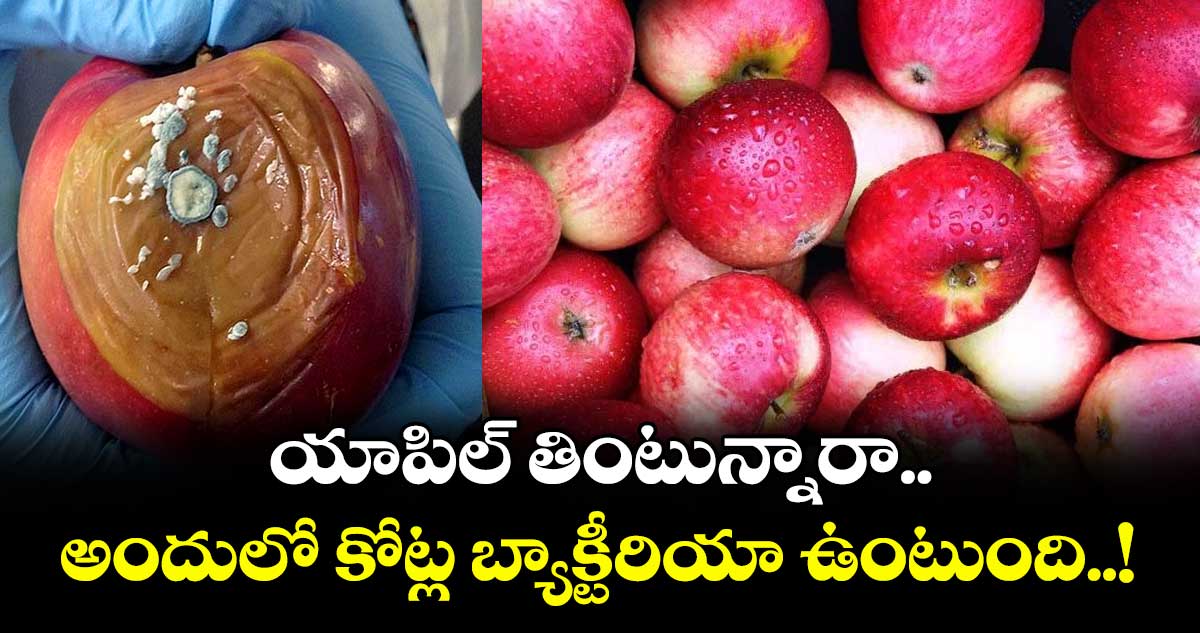 యాపిల్ తింటున్నారా.. అందులో కోట్ల బ్యాక్టీరియా ఉంటుంది..!