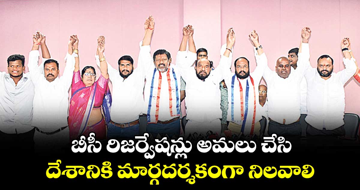 బీసీ రిజర్వేషన్లు అమలు చేసి దేశానికి మార్గదర్శకంగా నిలవాలి: ఎంపీ ఆర్.కృష్ణయ్య