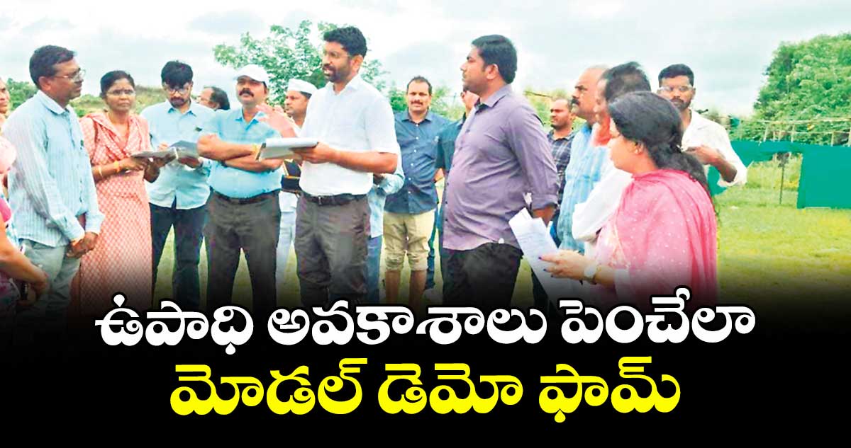 ఉపాధి అవకాశాలు పెంచేలా మోడల్ డెమో ఫామ్ : కలెక్టర్ జితేశ్ వీ పాటిల్