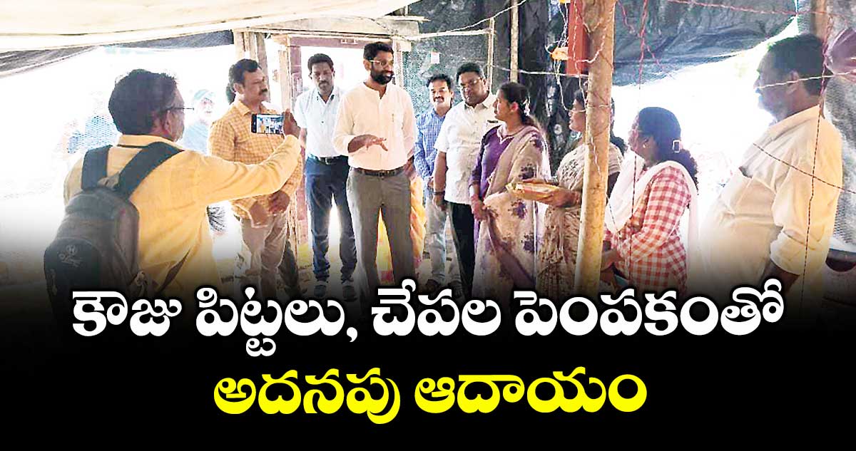 కౌజు పిట్టలు, చేపల పెంపకంతో అదనపు ఆదాయం :  కలెక్టర్ జితేశ్ సూచన 