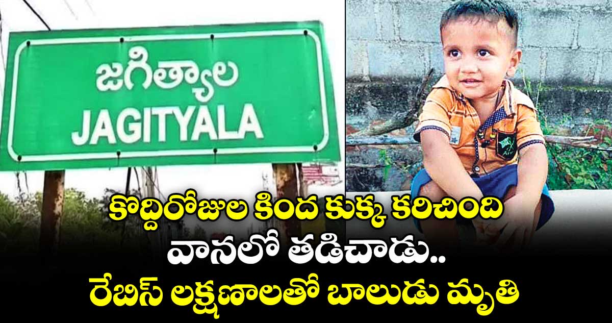 కొద్దిరోజుల కింద కుక్క కరిచింది.. వానలో తడిచాడు.. రేబిస్ లక్షణాలతో బాలుడు మృతి