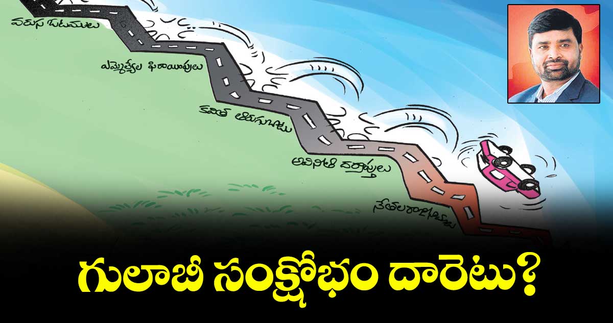 గులాబీ సంక్షోభం దారెటు?