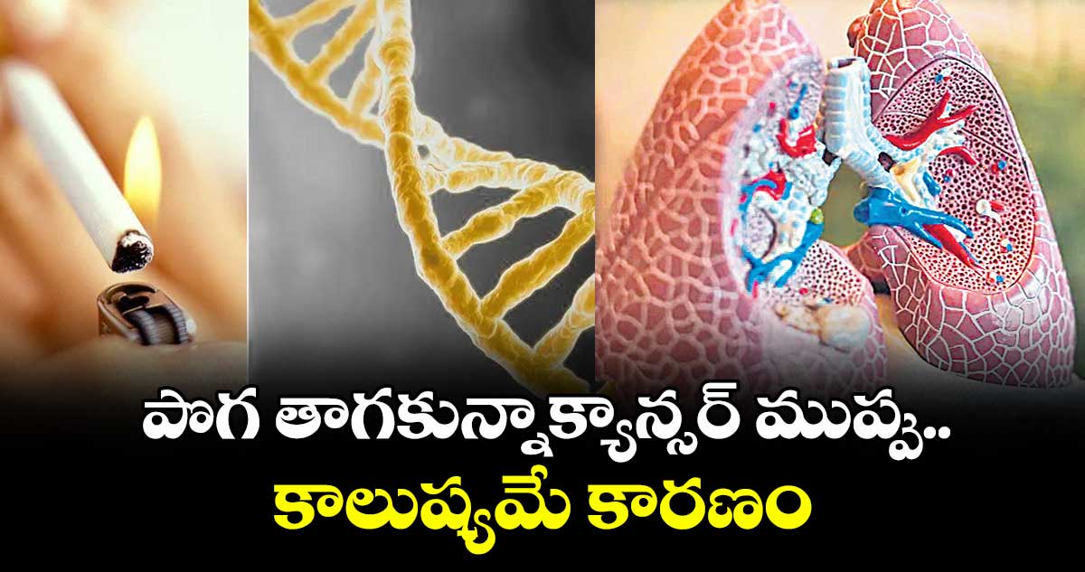 పొగ తాగకున్నాక్యాన్సర్ ముప్పు.. కాలుష్యమే కారణం