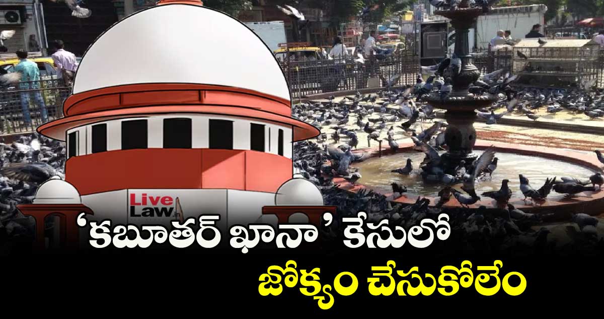 ‘కబూతర్ ఖానా’ కేసులో జోక్యం చేసుకోలేం: సుప్రీం కోర్టు