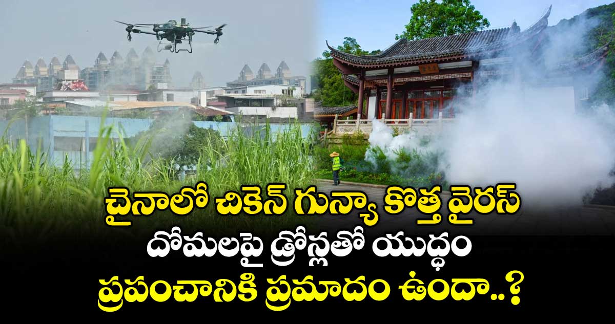 చైనాలో చికెన్ గున్యా కొత్త వైరస్ : దోమలపై డ్రోన్లతో యుద్ధం : ప్రపంచానికి ప్రమాదం ఉందా..?