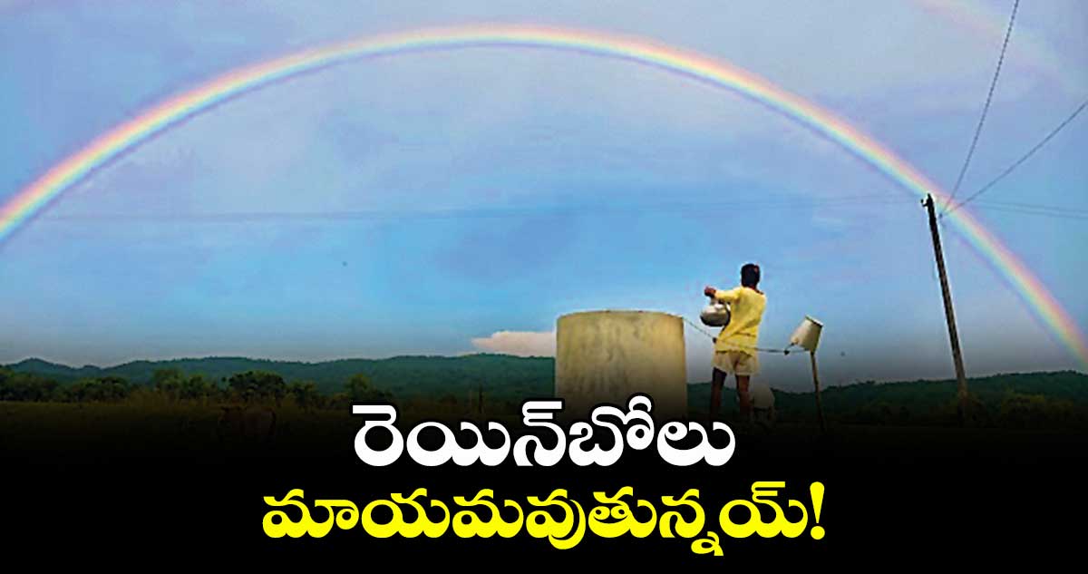 రెయిన్బోలు మాయమవుతున్నయ్!