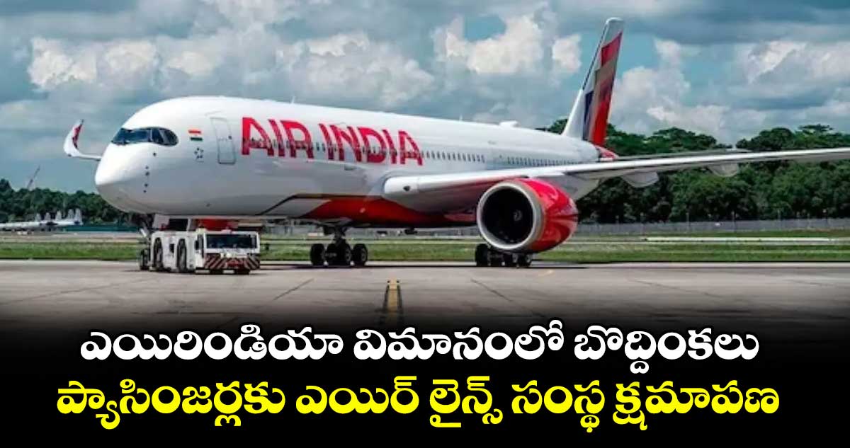 ఎయిరిండియా విమానంలో బొద్దింకలు... ప్యాసింజర్లకు ఎయిర్ లైన్స్ సంస్థ క్షమాపణ