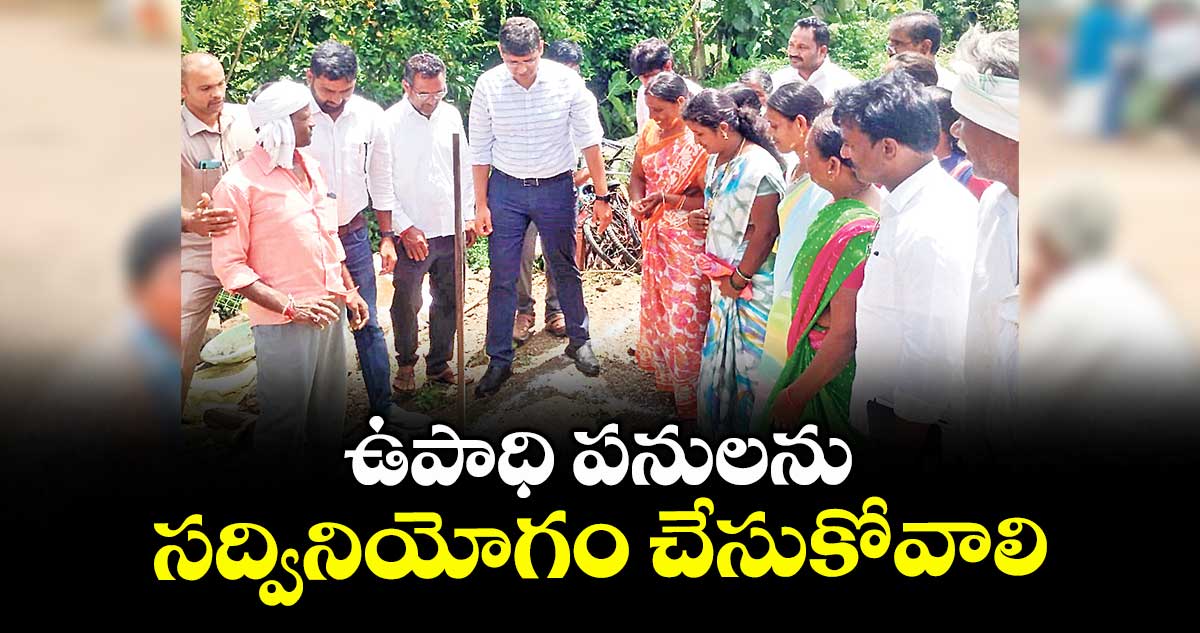 ఉపాధి పనులను సద్వినియోగం చేసుకోవాలి : కలెక్టర్ ఆశిష్ సంగ్వాన్