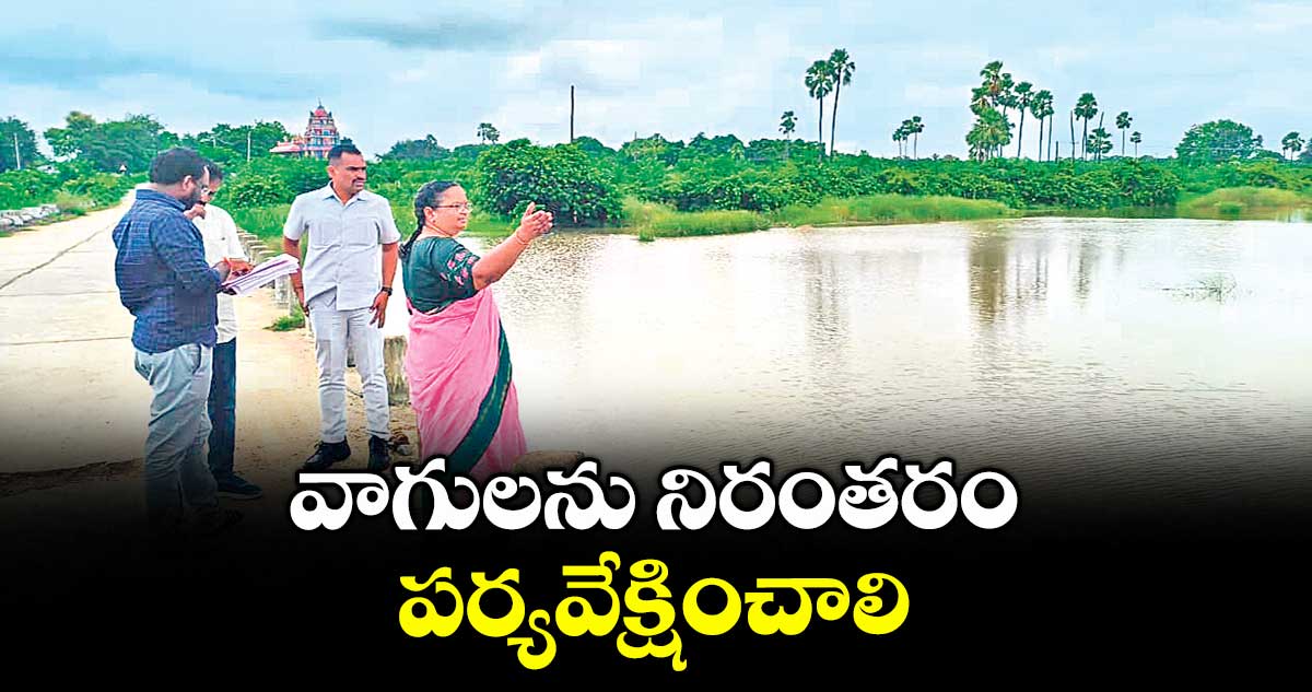 వాగులను నిరంతరం పర్యవేక్షించాలి : కలెక్టర్ హైమావతి