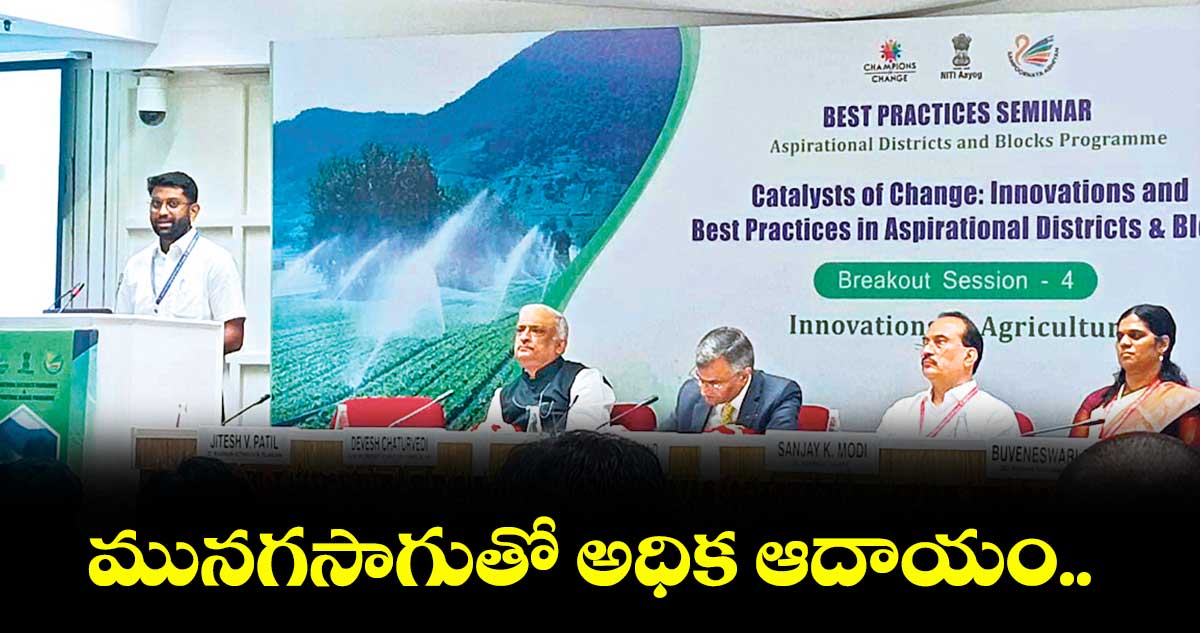 మునగసాగుతో అధిక ఆదాయం.. : కలెక్టర్ జితేశ్