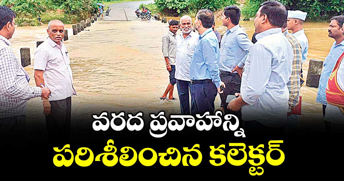 వరద ప్రవాహాన్ని  పరిశీలించిన కలెక్టర్