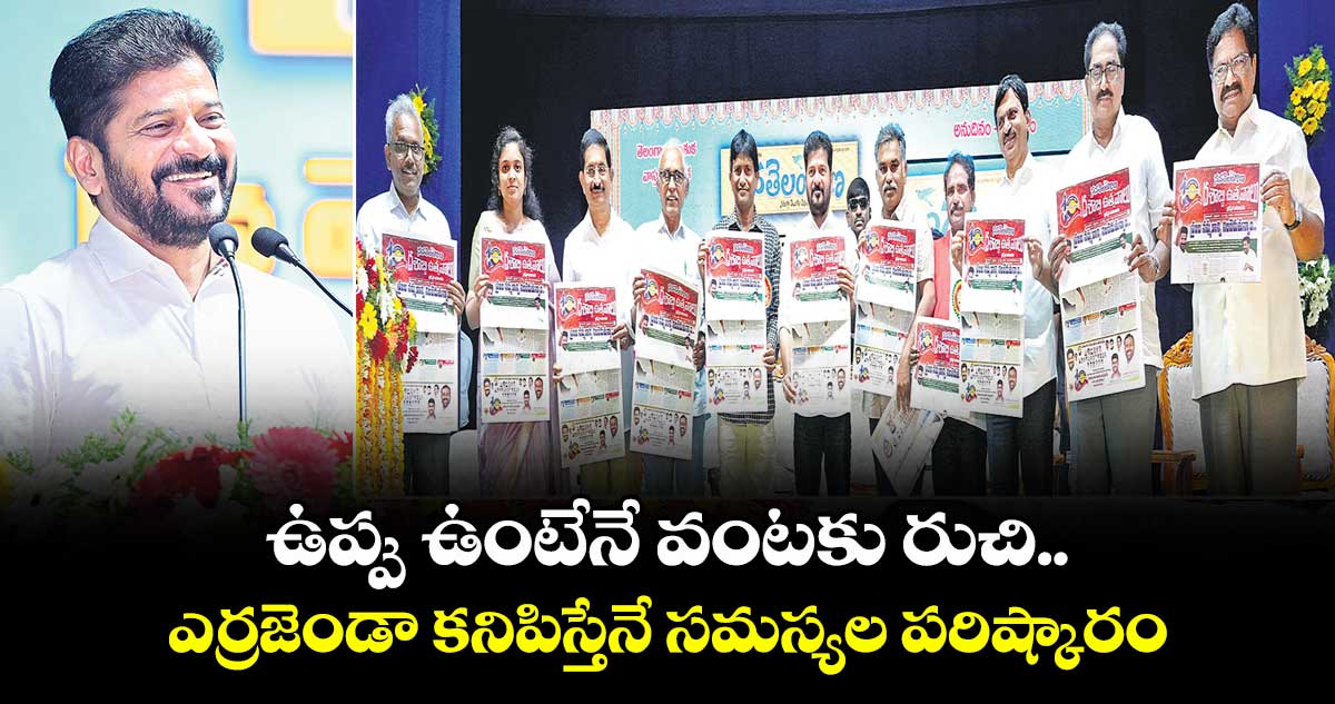 ఉప్పు ఉంటేనే వంటకు రుచి.. ఎర్రజెండా కనిపిస్తేనే సమస్యల పరిష్కారం: సీఎం రేవంత్