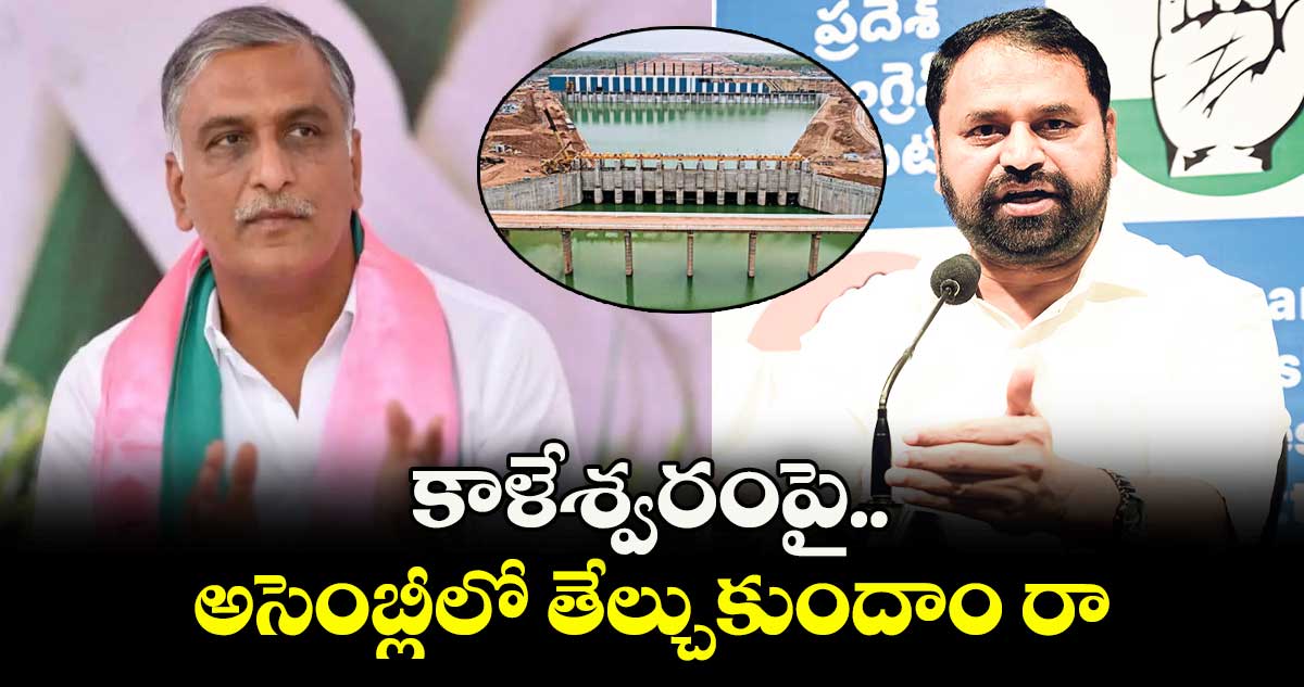 కాళేశ్వరంపై అసెంబ్లీలో తేల్చుకుందాం రా.. : ఎమ్మెల్సీ అద్దంకి దయాకర్
