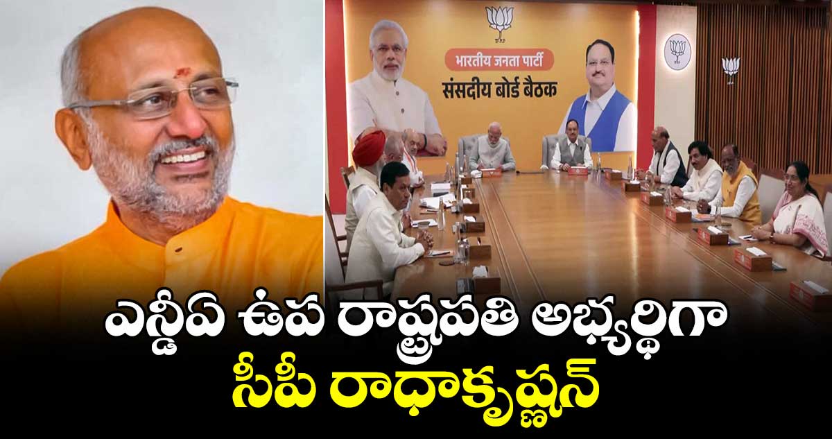 ఎన్డీఏ ఉప రాష్ట్రపతి అభ్యర్థిగా సీపీ రాధాకృష్ణన్