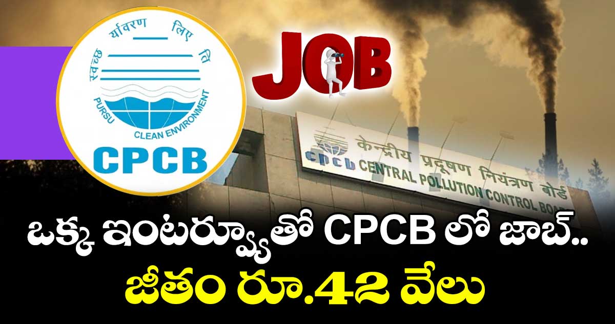 ఒక్క ఇంటర్వ్యూతో CPCB లో జాబ్.. జీతం రూ.42 వేలు