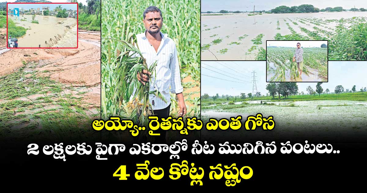 అయ్యో.. రైతన్నకు ఎంత గోస.. 2 లక్షలకు పైగా ఎకరాల్లో నీట మునిగిన పంటలు.. 4 వేల కోట్ల నష్టం