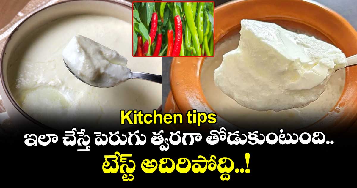Kitchen tips: ఇలా చేస్తే పెరుగు త్వరగా తోడుకుంటుంది.. టేస్ట్ అదిరిపోద్ది..!
