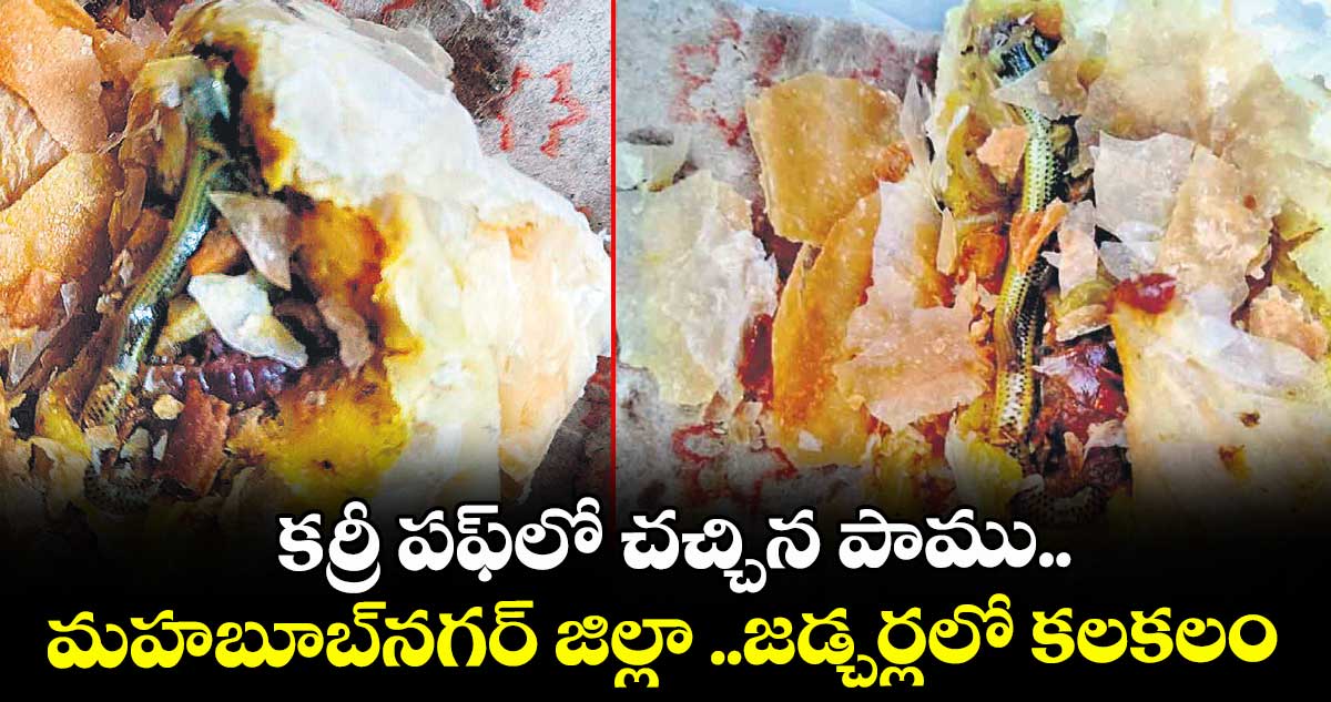 కర్రీ పఫ్ లో చచ్చిన పాము..మహబూబ్ నగర్ జిల్లా ..జడ్చర్లలో కలకలం