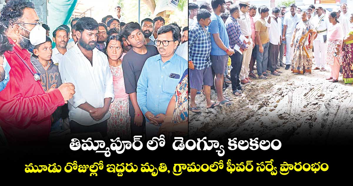తిమ్మాపూర్ లో డెంగ్యూ కలకలం.. మూడు రోజుల్లో ఇద్దరు మృతి, గ్రామంలో ఫీవర్ సర్వే ప్రారంభం