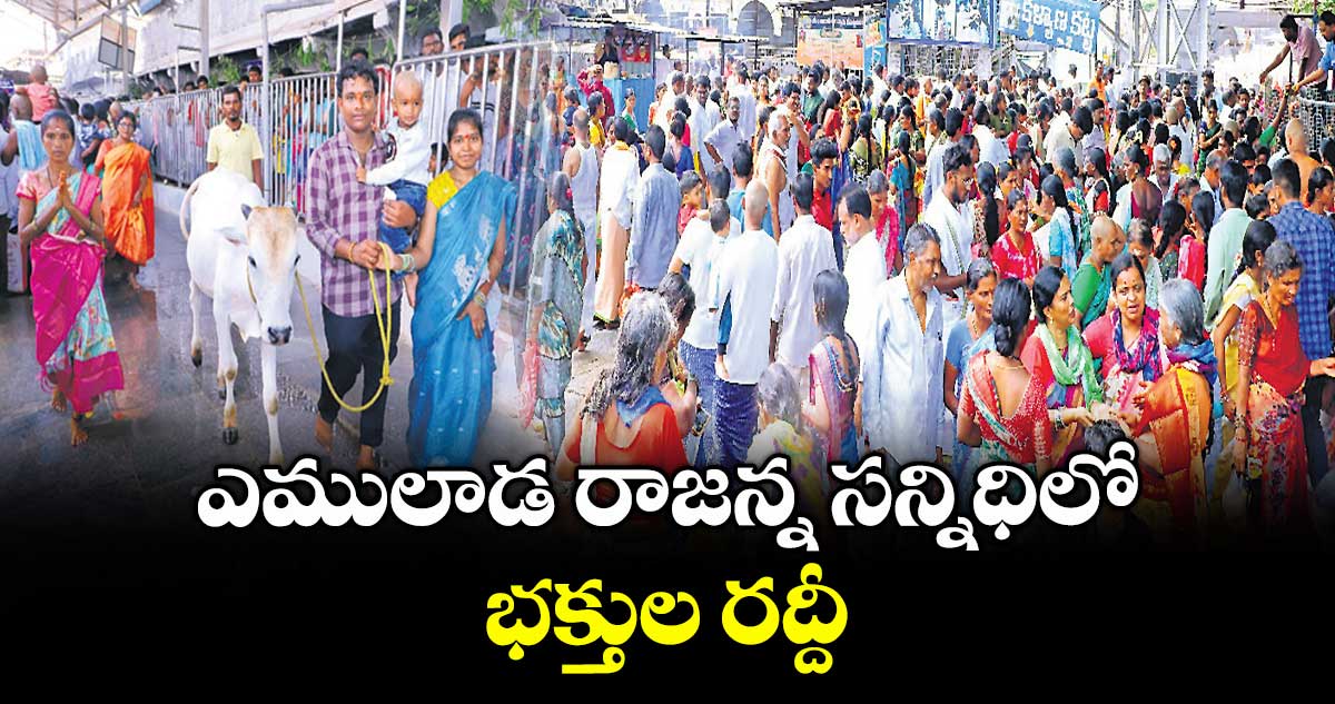 ఎములాడ రాజన్న సన్నిధిలో భక్తుల రద్దీ