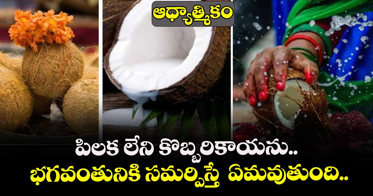 ఆధ్యాత్మికం:  పిలక లేని కొబ్బరికాయను.. భగవంతునికి సమర్పిస్తే  ఏమవుతుంది..