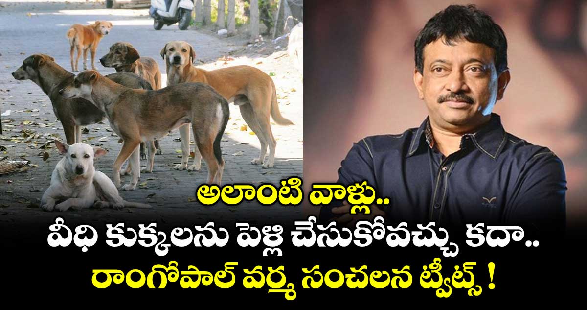అలాంటి  వాళ్లు వీధి కుక్కలను పెళ్లి చేసుకోవచ్చు కదా.. రాంగోపాల్ వర్మ సంచలన ట్వీట్స్ !