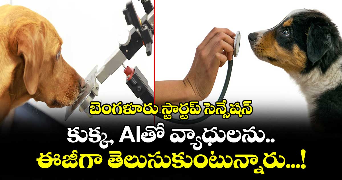 బెంగళూరు స్టార్టప్ సెన్సేషన్: కుక్క, AIతో వ్యాధులను ఈజీగా తెలుసుకుంటున్నారు...!