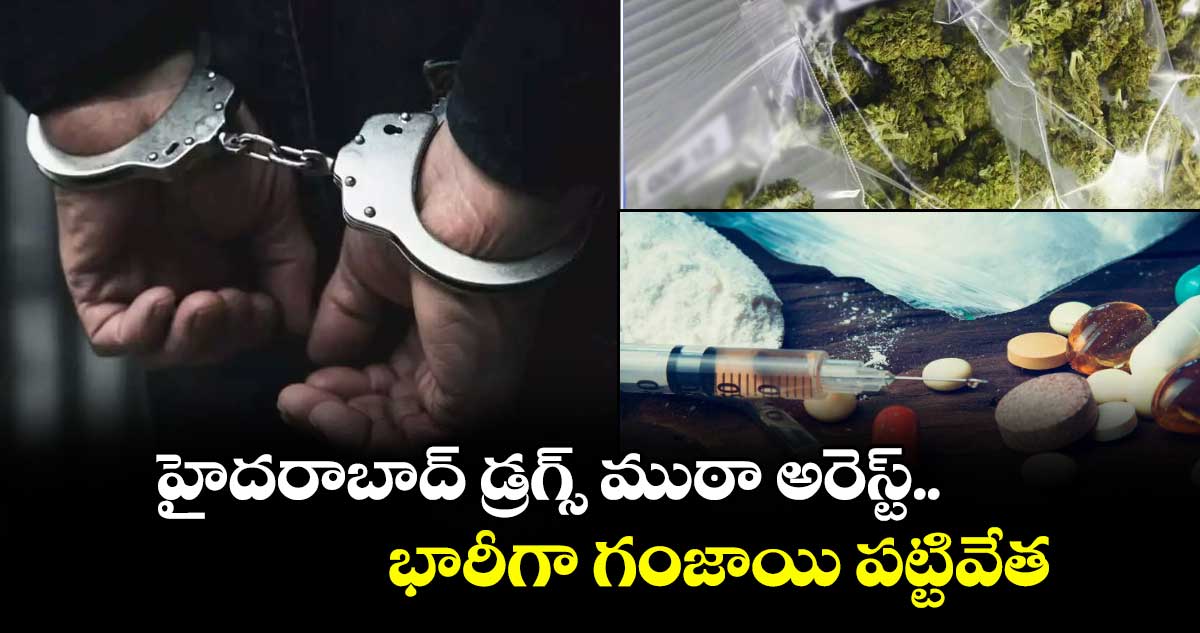 హైదరాబాద్ డ్రగ్స్ ముఠా అరెస్ట్.. భారీగా గంజాయి పట్టివేత