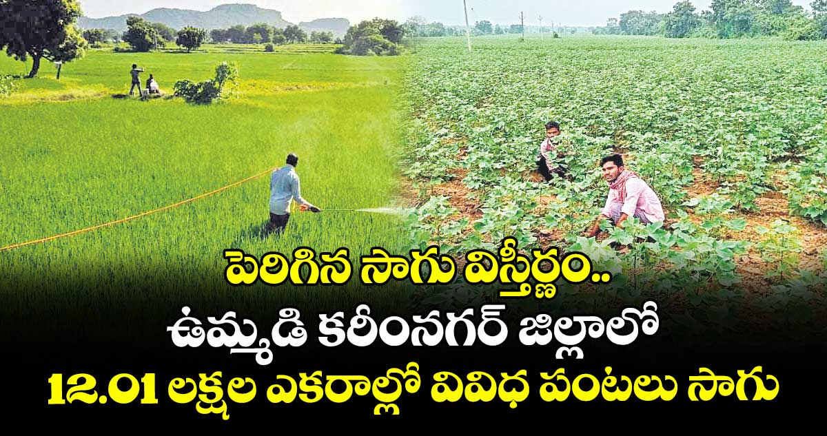 పెరిగిన సాగు విస్తీర్ణం..ఉమ్మడి కరీంనగర్ జిల్లాలో 12.01 లక్షల ఎకరాల్లో వివిధ పంటలు సాగు