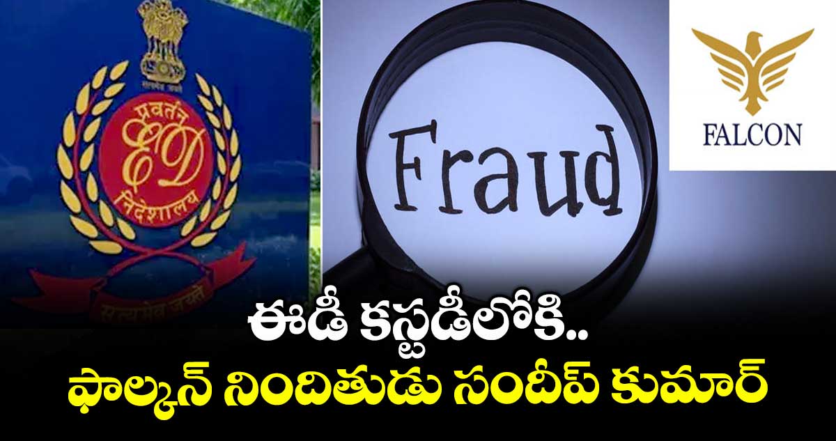 ఈడీ కస్టడీలోకి ఫాల్కన్ నిందితుడు సందీప్ కుమార్