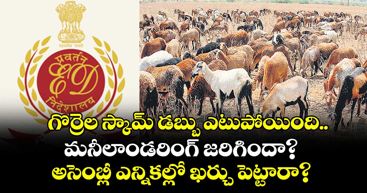 గొర్రెల స్కామ్ డబ్బు ఎటుపోయింది..మనీలాండరింగ్ జరిగిందా? అసెంబ్లీ ఎన్నికల్లో ఖర్చు పెట్టారా? 