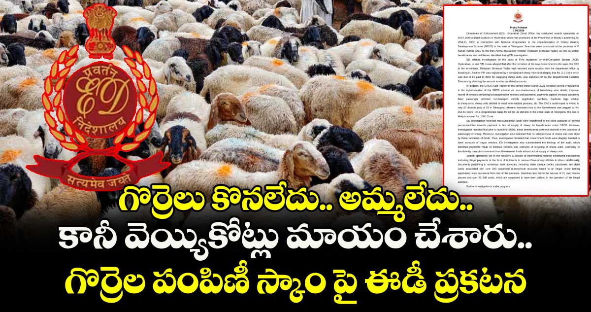 గొర్రెలు కొనలేదు.. అమ్మలేదు.. కానీ వెయ్యికోట్లు మాయం చేశారు.. గొర్రెల పంపిణీ స్కాం పై ఈడీ ప్రకటన