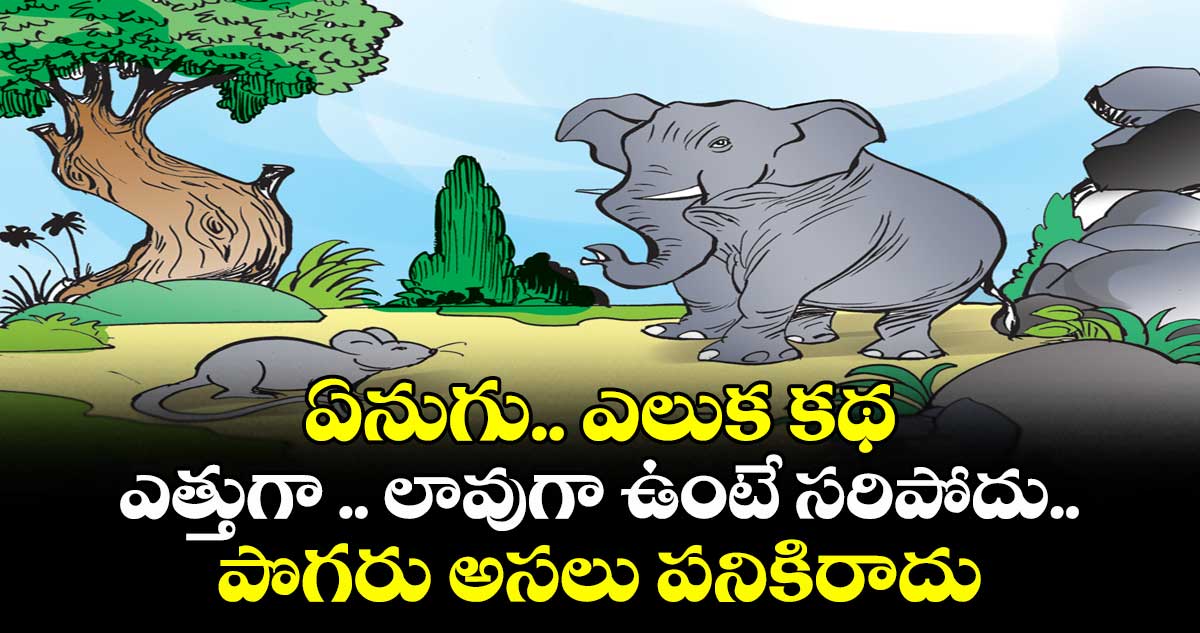 ఏనుగు  .. ఎలుక కథ: ఎత్తుగా .. లావుగా ఉంటే సరిపోదు..  పొగరు అసలు పనికిరాదు
