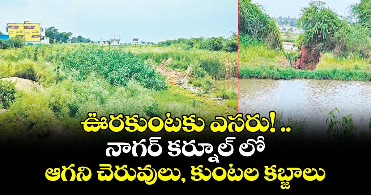 ఊరకుంటకు ఎసరు! .. నాగర్ కర్నూల్ లో ఆగని చెరువులు, కుంటల కబ్జాలు