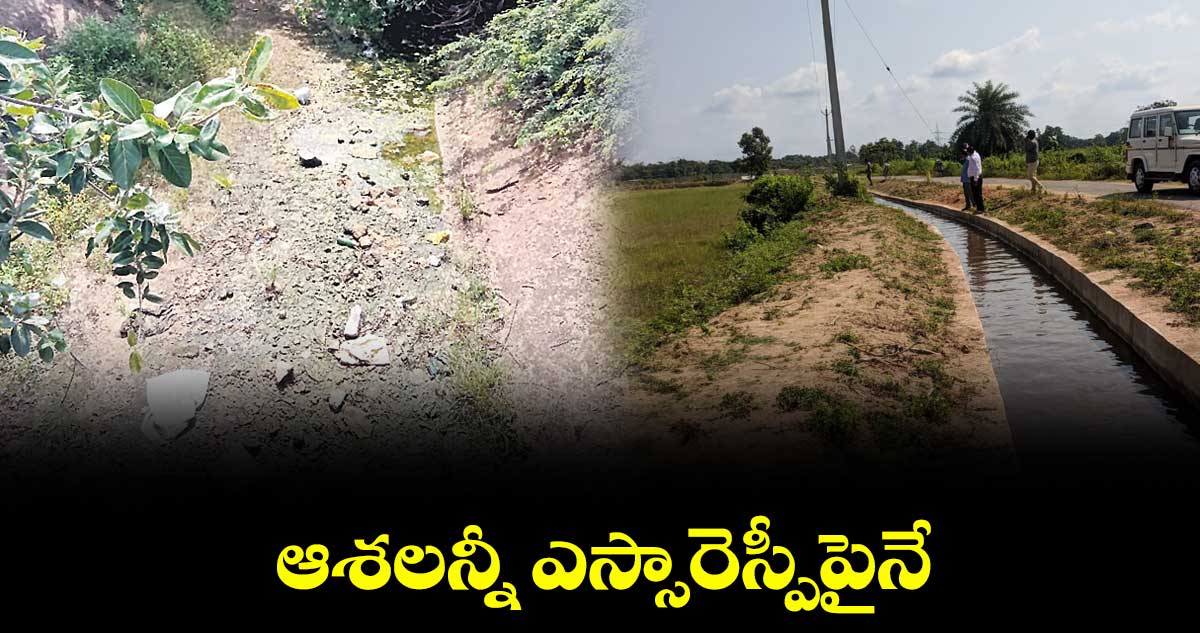 ఆశలన్నీ ఎస్సారెస్పీపైనే