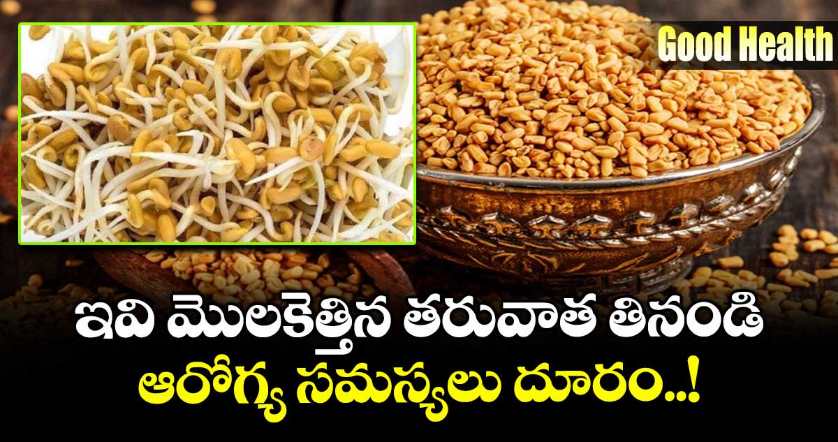Good Health:  ఇవి మొలకెత్తిన తరువాత తినండి... ఆరోగ్య సమస్యలు దూరం..!