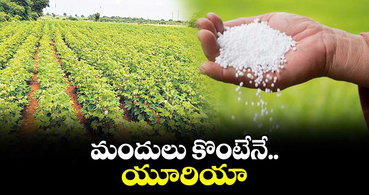 మందులు కొంటేనే యూరియా