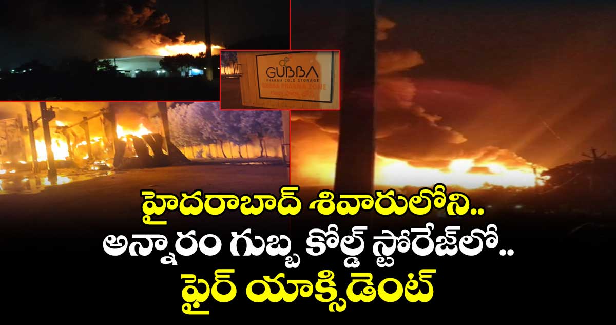 హైదరాబాద్ శివారులోని అన్నారం గుబ్బ కోల్డ్ స్టోరేజ్లో ఫైర్ యాక్సిడెంట్