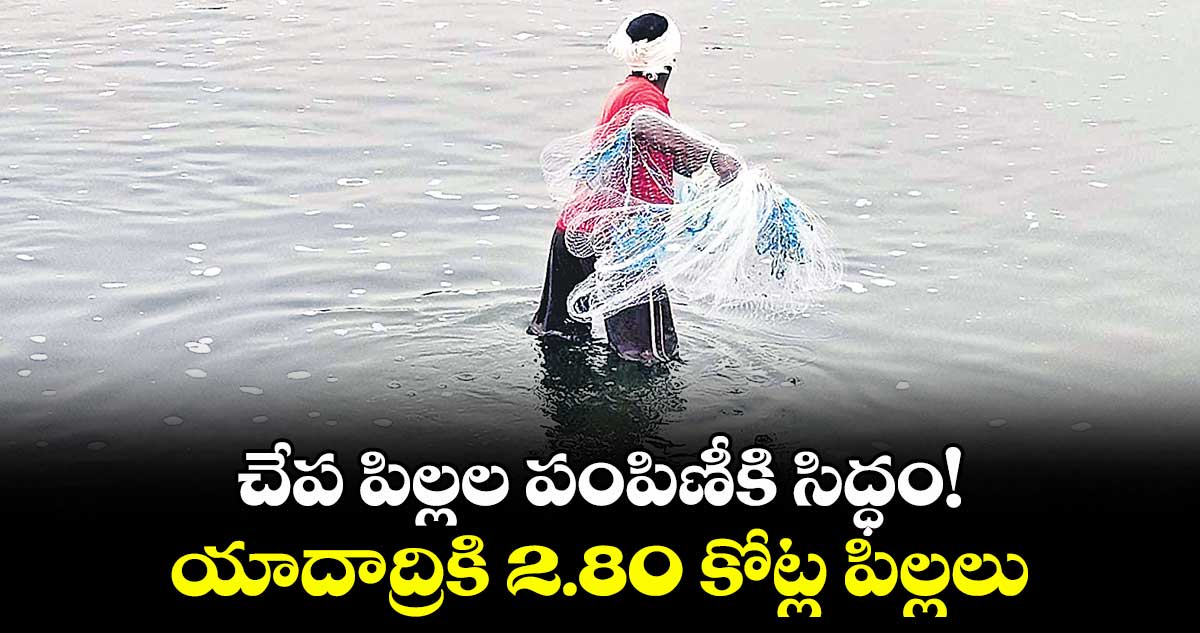 చేప పిల్లల పంపిణీకి సిద్ధం!.. యాదాద్రికి 2.80 కోట్ల పిల్లలు
