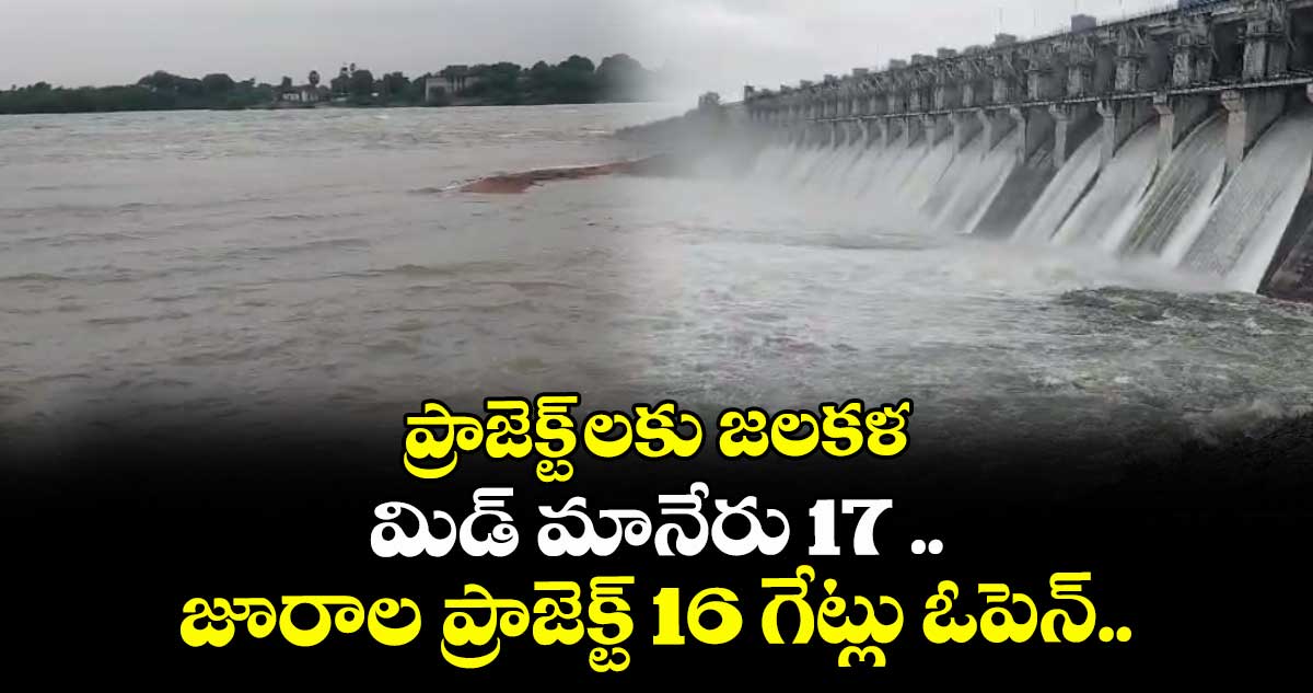 ప్రాజెక్ట్ లకు జలకళ.. మిడ్ మానేరు 17 .. జూరాల ప్రాజెక్ట్ 16 గేట్లు ఓపెన్..