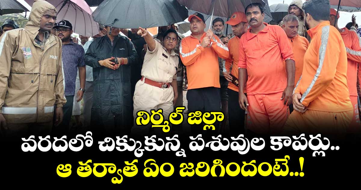 నిర్మల్ జిల్లా: వరదలో చిక్కుకున్న పశువుల కాపర్లు.. ఆ తర్వాత ఏం జరిగిందంటే..!