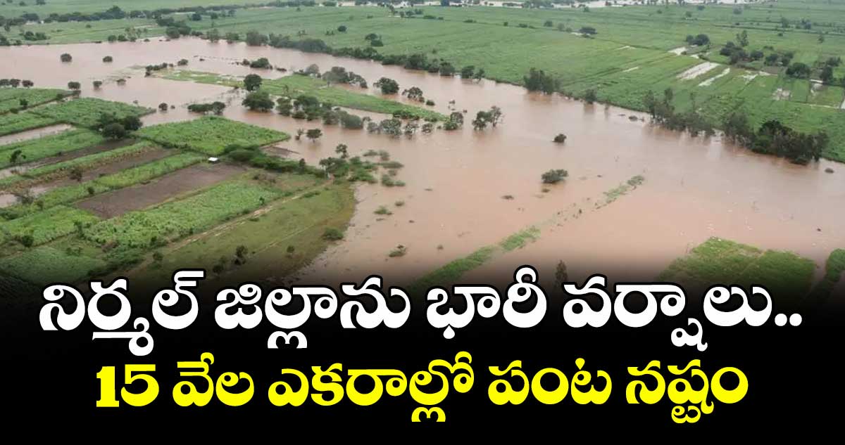 నిర్మల్ జిల్లాను భారీ వర్షాలు.. 15 వేల ఎకరాల్లో పంట నష్టం