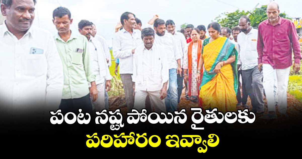 పంట నష్ట పోయిన రైతులకు పరిహారం ఇవ్వాలి : పద్మా దేవేందర్ రెడ్డి
