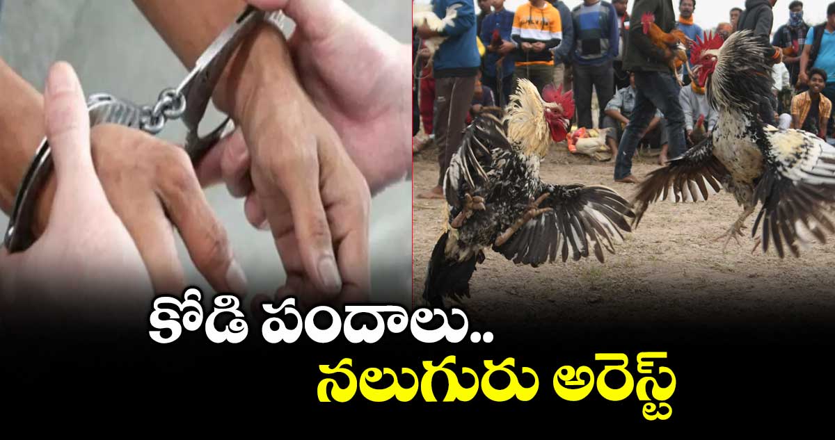కోడి పందాలు.. నలుగురు అరెస్ట్