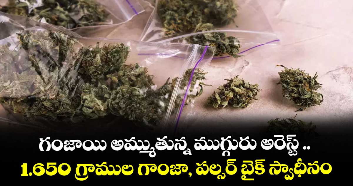 గంజాయి అమ్ముతున్న ముగ్గురు అరెస్ట్ .. 1.650 గ్రాముల గాంజా, పల్సర్ బైక్ స్వాధీనం