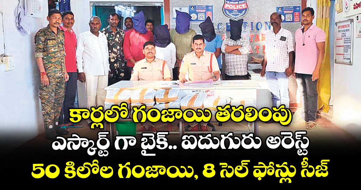 కార్లలో గంజాయి తరలింపు .. ఎస్కార్ట్ గా బైక్..ఐదుగురు అరెస్ట్ ..50 కిలోల గంజాయి, 8 సెల్ ఫోన్లు సీజ్