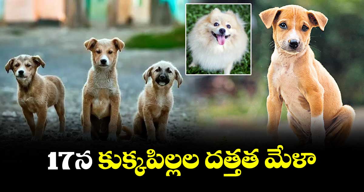 17న కుక్కపిల్లల దత్తత మేళా