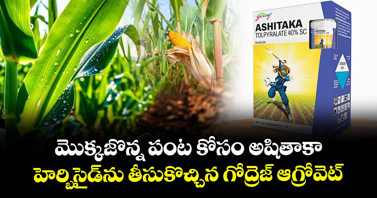 మొక్కజొన్న పంట కోసం అషితాకా.. హెర్బిసైడ్⁮ను తీసుకొచ్చిన గోద్రెజ్ ఆగ్రోవెట్