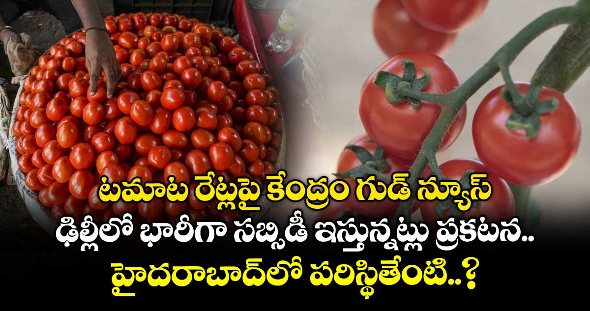 టమాట రేట్లపై కేంద్రం గుడ్ న్యూస్.. ఢిల్లీలో భారీగా సబ్సిడీ ఇస్తున్నట్లు ప్రకటన.. హైదరాబాద్⁭లో పరిస్థితేంటి..?